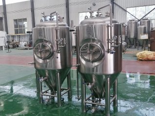 300l Jacketed Fermenter