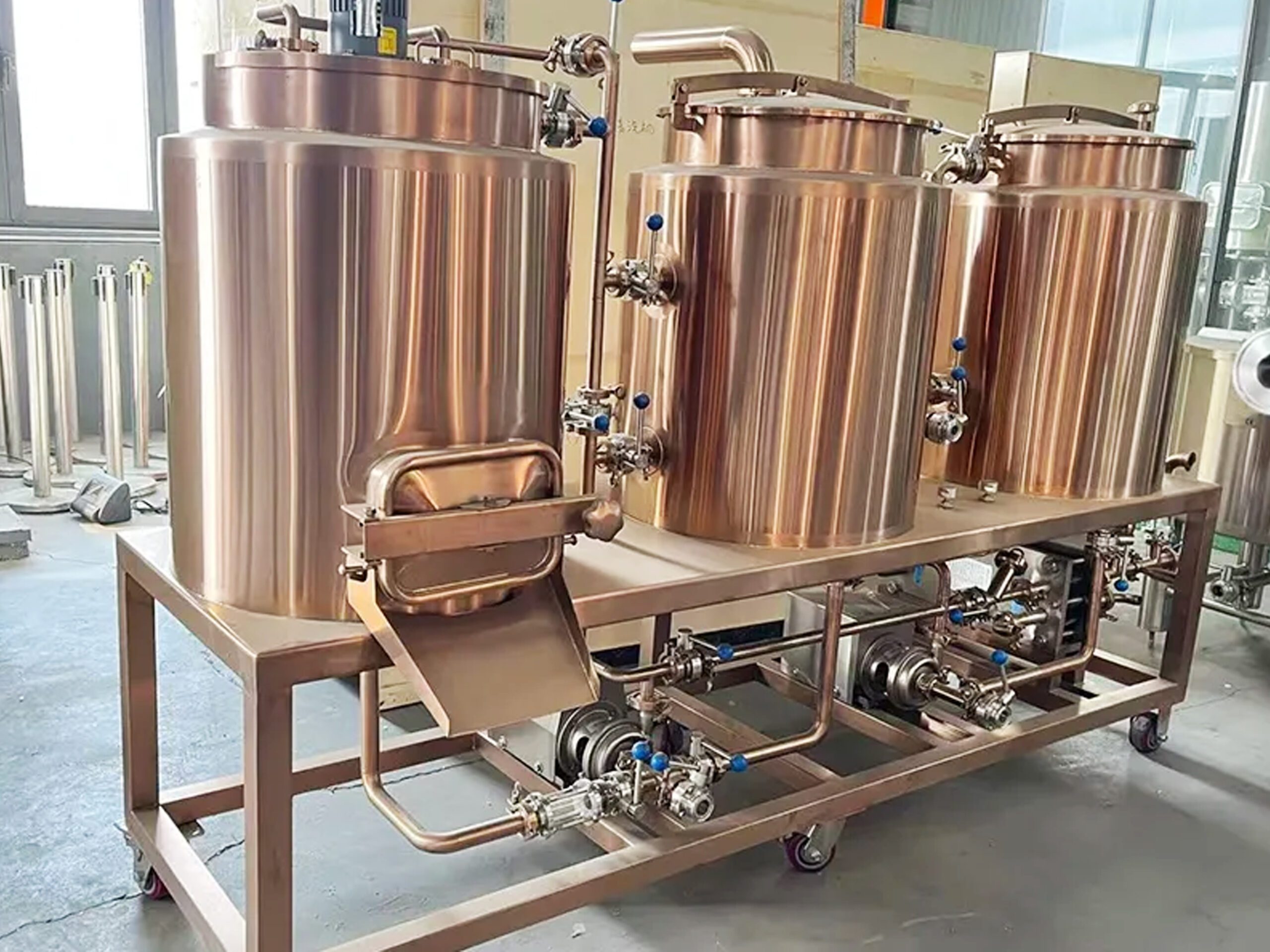 Attrezzatura per Birreria Usata 100l