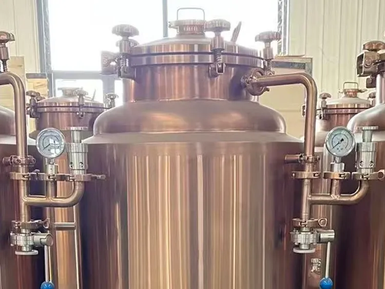 Used 100L Mini Brewery Equipment​